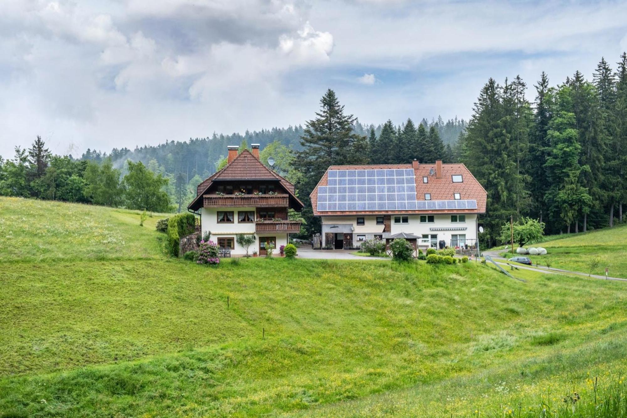 Villa Schreinerhäusle Himmelreich Exterior foto