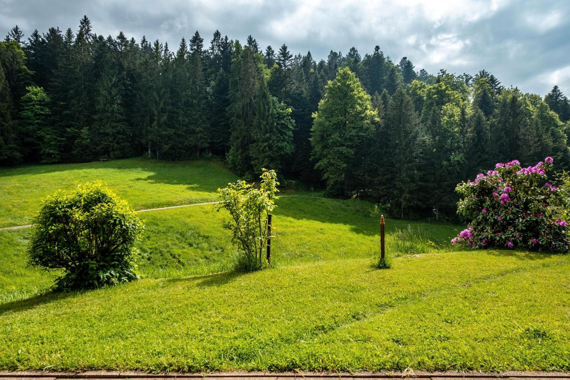 Villa Schreinerhäusle Himmelreich Exterior foto